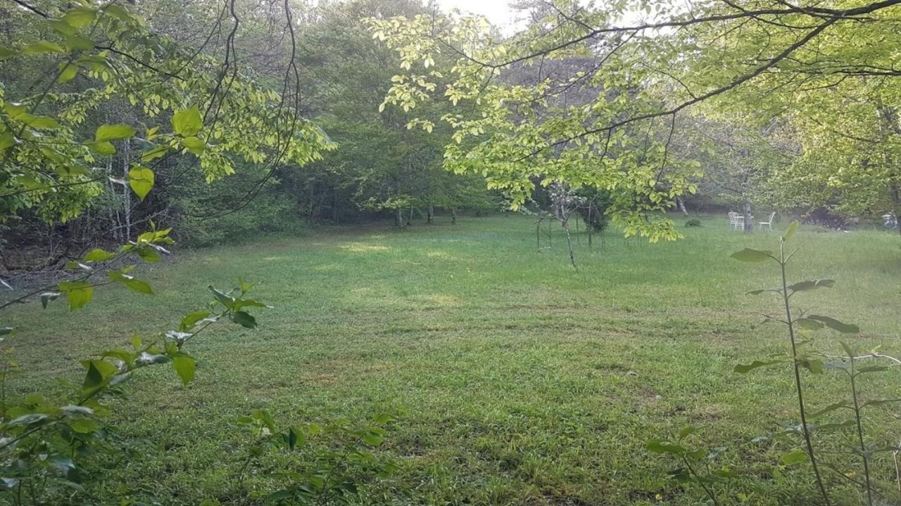 Lovely 2-Bed Shepherds Hut In A Forest Sougeres-en-Puisaye Extérieur photo